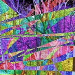 Colorful Trees
