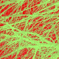 Tree-Line Drawing