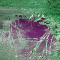 Value of a Puddle 