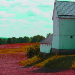 Simple Farmhouse