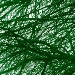 Tree-Line Drawing