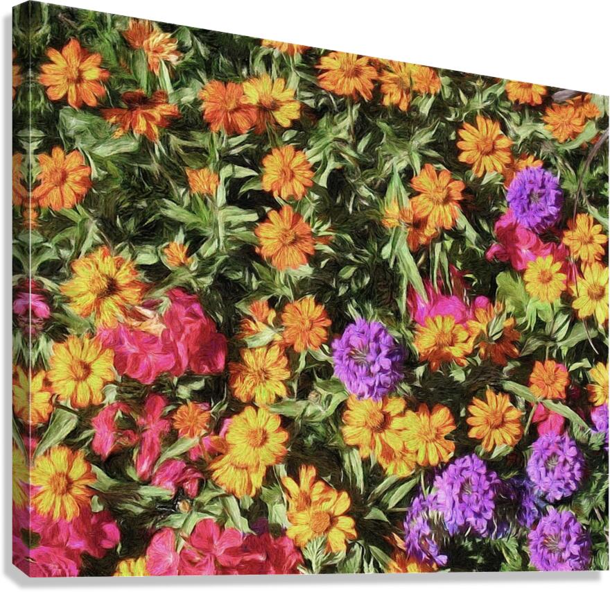 Floral Explosion Canvas Print