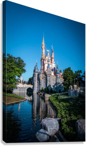 Castle Reflection 2 Canvas Print