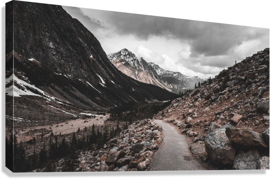 The path Canvas Print