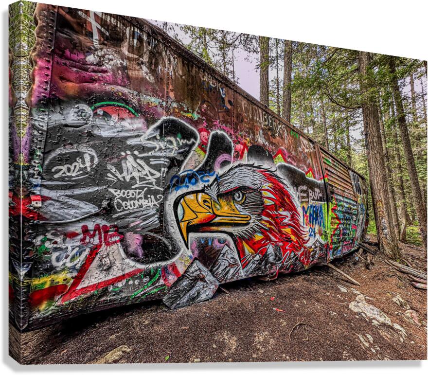 Metal canva Canvas Print