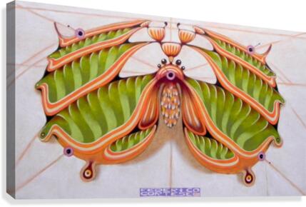 Fibonacci moth  Canvas Print