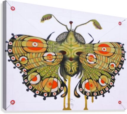moth Canvas Print