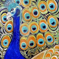 Peacock Mystic