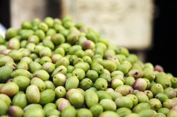 Fresh Olives at market in Old Cairo by Raisa Mirza