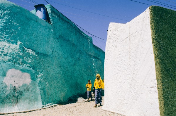 Yellow Stars of Harar  by Raisa Mirza
