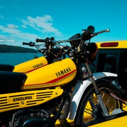 Yellow Moto