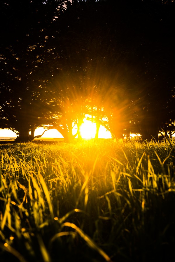 Let There Be Light by Clare Kathleen Cornelius