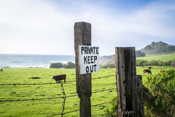 keepout 3 by Clare Kathleen Cornelius