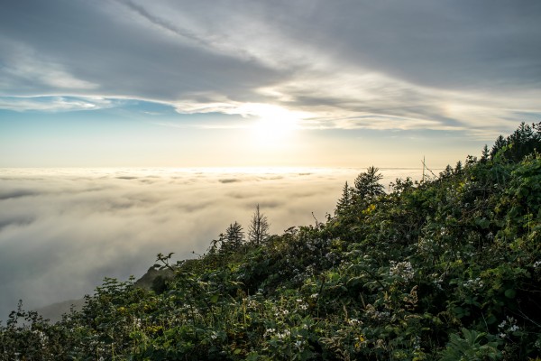 Pacific Fog Sunset by Clare Kathleen Cornelius