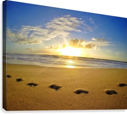 Footprints Canvas Print