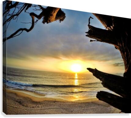 Half Moon Bay Canvas Print
