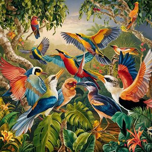 Dancing Colors: The Beauty of Wild Birds