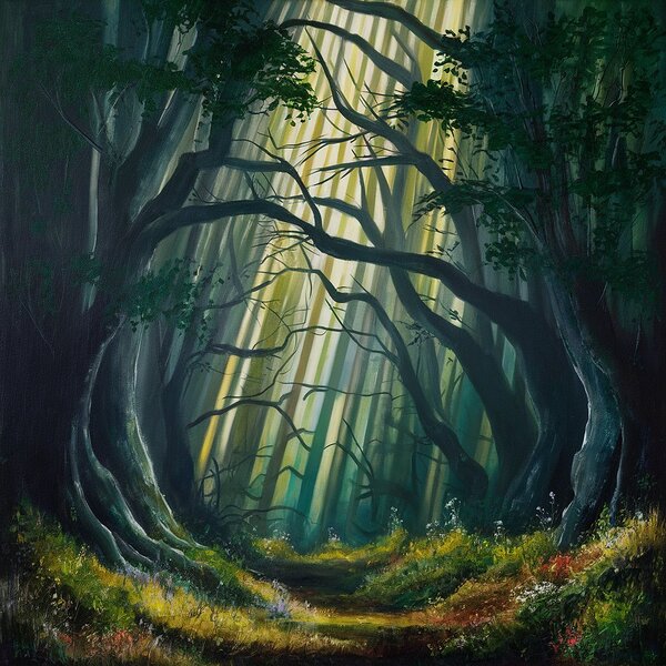 A mysterious and beautiful natural forest Print