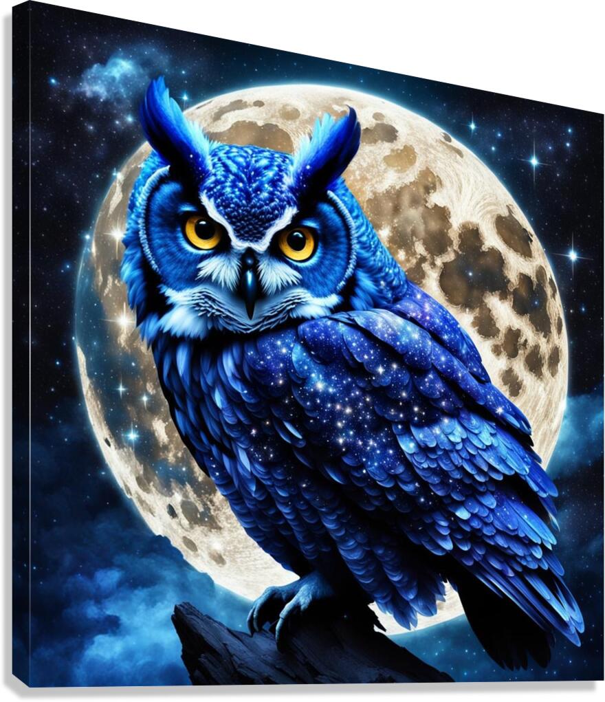 Owl Canvas Print