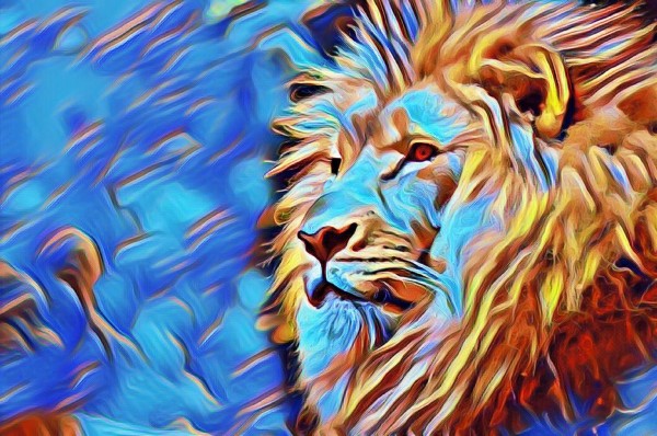 Lion by GromHusar Gallery