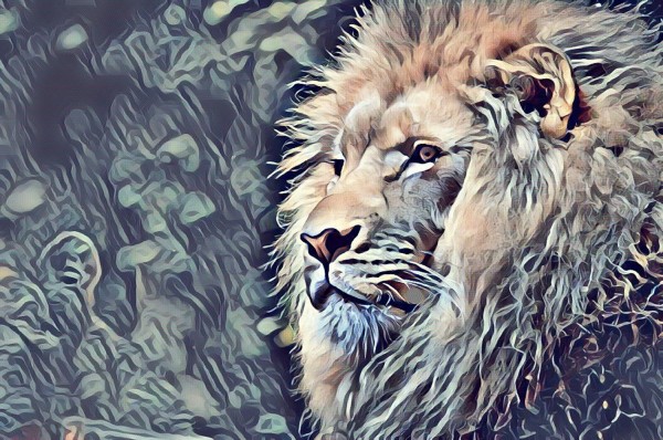 Lion Gemalde by GromHusar Gallery