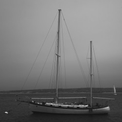 Solitary boat