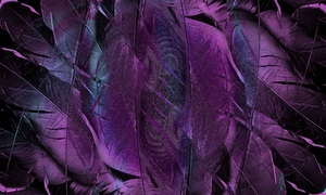 feather pattern texture form