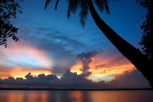 ART of NATURE015