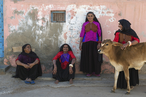 India Pigments143