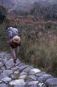 Living Incas007