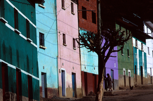 Living Incas051