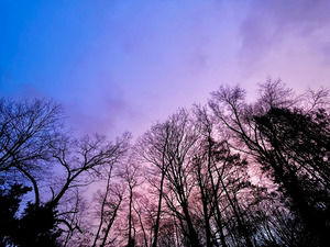 Pink and Blue Dusky Sky