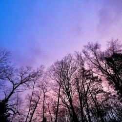 Pink and Blue Dusky Sky