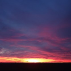 Sunset - December 2020