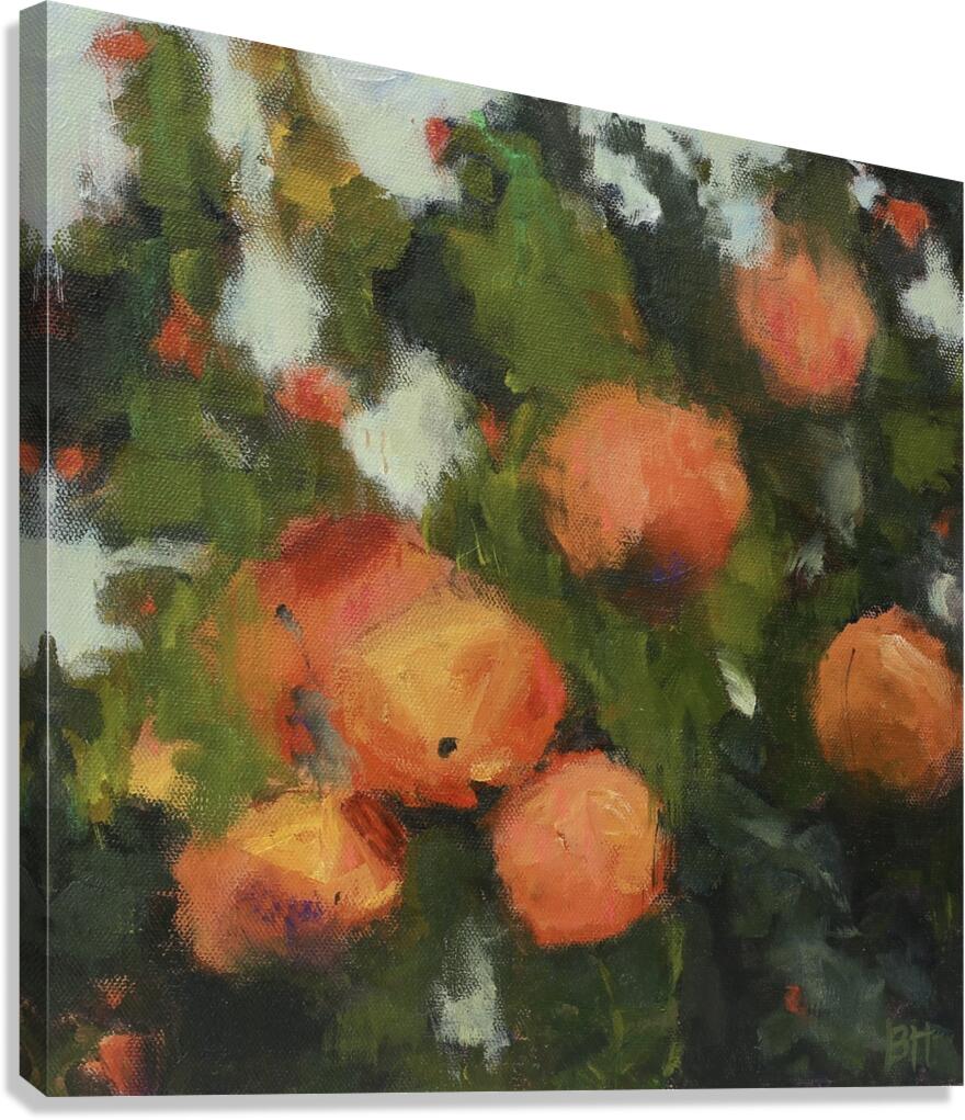 Oranges in Winter Canvas Print