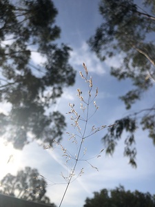Sunny sky
