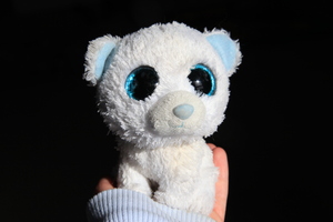 Cat teddy portrait colour