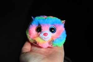 Cat on hand colour