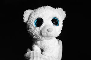 Cat teddy portrait black and white