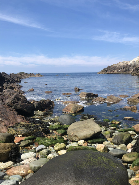 rocky beach Print