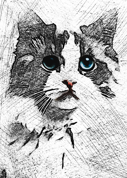 1001 Sketch Art RD mata biru Print