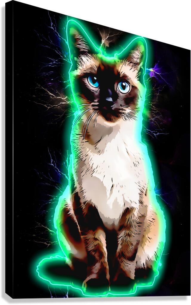 1001 aura neon art siam Canvas Print
