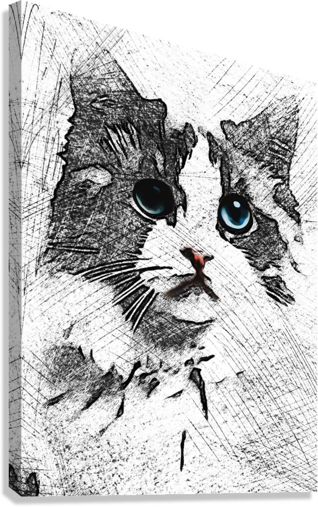 1001 Sketch Art RD mata biru Canvas Print