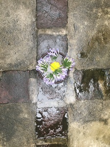 Home Blessings