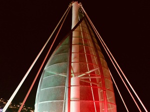 IMG 0719