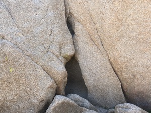 IMG 6383