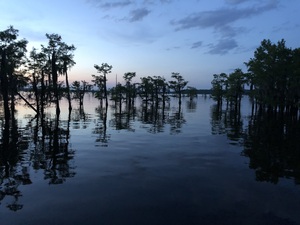 IMG 7378