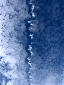 IMG 9764