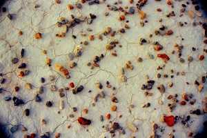 Desert Jewels