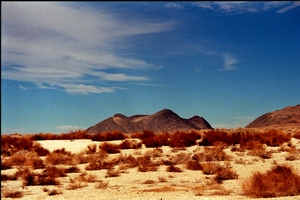 arid